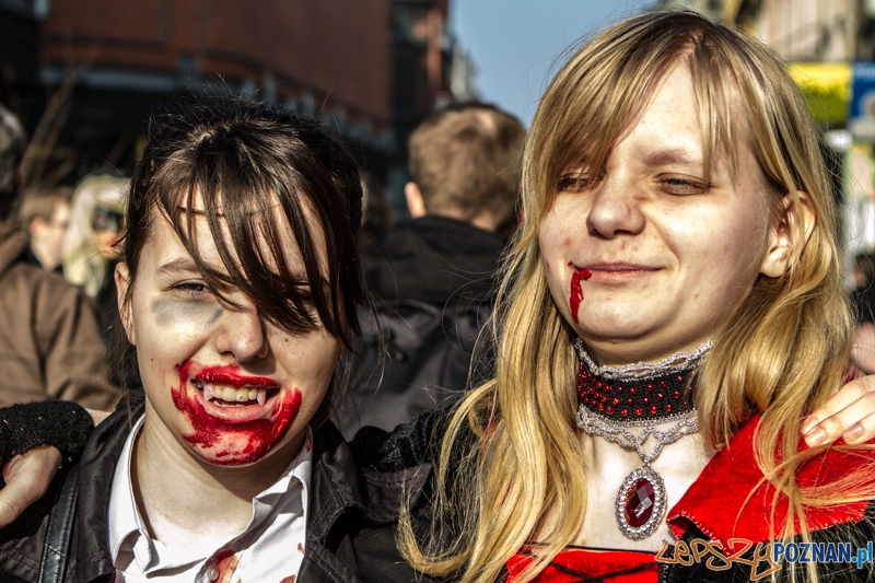 Fantastyczny Korowód na Festiwal Pyrkon 2014 - Poznań 01.03.2014 r. Foto: LepszyPOZNAN.pl / Paweł Rychter Fantastyczny Korowód na Festiwal Pyrkon 2014 - Poznań 01.03.2014 r. Foto: LepszyPOZNAN.pl / Paweł Rychter