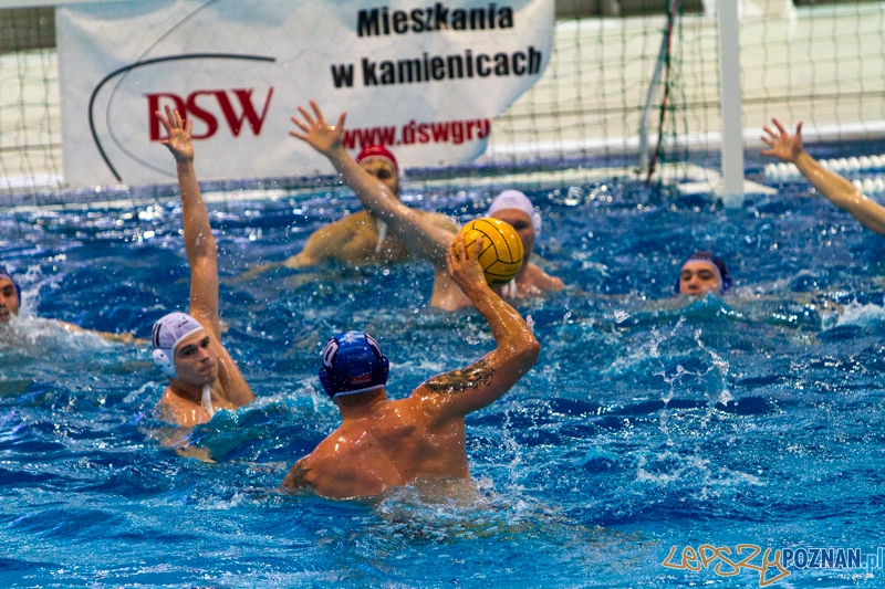 DSW Waterpolo Poznań - Pirana SC Topolčany 15:6 - Poznań 02.03.2014 r. Foto: LepszyPOZNAN.pl / Paweł Rychter DSW Waterpolo Poznań - Pirana SC Topolčany 15:6 - Poznań 02.03.2014 r. Foto: LepszyPOZNAN.pl / Paweł Rychter