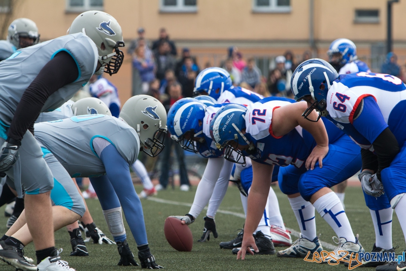 Kozły Poznań - Warsaw Sharks Foto: lepszyPOZNAN.pl / Piotr Rychter Kozły Poznań - Warsaw Sharks Foto: lepszyPOZNAN.pl / Piotr Rychter