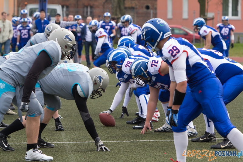 Kozły Poznań - Warsaw Sharks Foto: lepszyPOZNAN.pl / Piotr Rychter Kozły Poznań - Warsaw Sharks Foto: lepszyPOZNAN.pl / Piotr Rychter