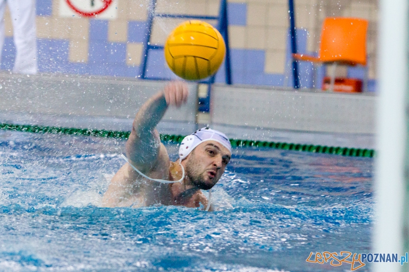 DSW Waterpolo Poznań - Legia Warszawa Foto: lepszyPOZNAN.pl / Piotr Rychter DSW Waterpolo Poznań - Legia Warszawa Foto: lepszyPOZNAN.pl / Piotr Rychter