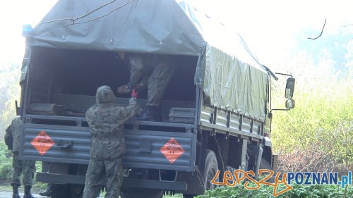 Niewybuchy w lesie (3) Foto: Straż Miejska Niewybuchy w lesie (3) Foto: Straż Miejska