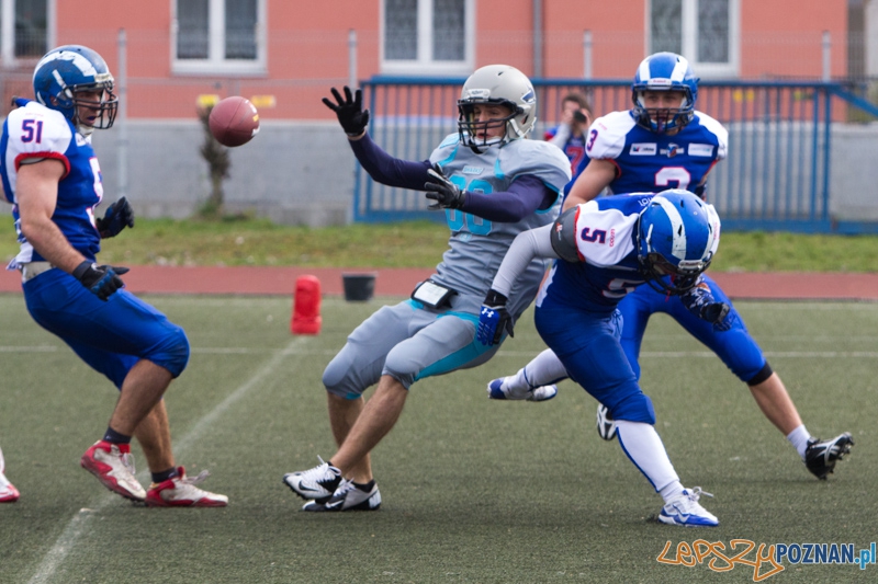 Kozły Poznań - Warsaw Sharks Foto: lepszyPOZNAN.pl / Piotr Rychter Kozły Poznań - Warsaw Sharks Foto: lepszyPOZNAN.pl / Piotr Rychter
