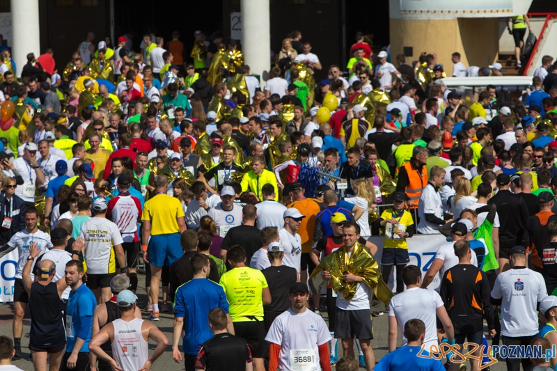 7. Poznań półmaraton - 6.04.2014 r. Foto: lepszyPOZNAN.pl / Piotr Rychter 7. Poznań półmaraton - 6.04.2014 r. Foto: lepszyPOZNAN.pl / Piotr Rychter