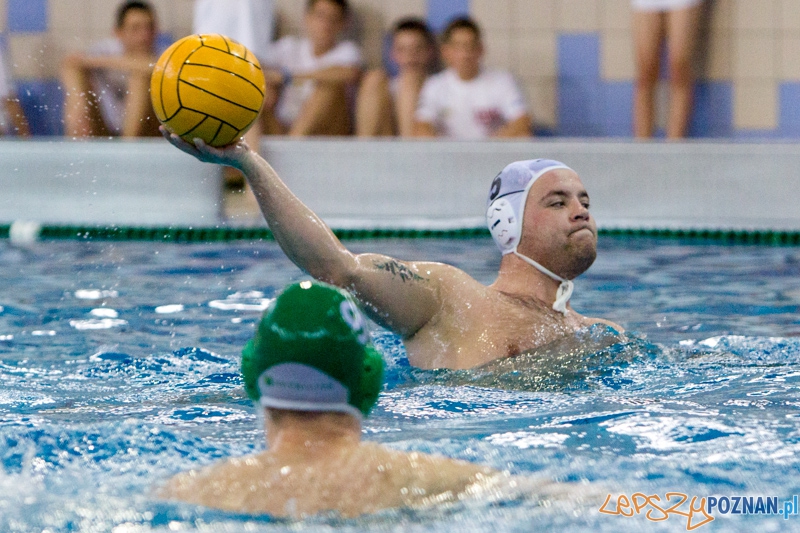 DSW Waterpolo Poznań - Legia Warszawa Foto: lepszyPOZNAN.pl / Piotr Rychter DSW Waterpolo Poznań - Legia Warszawa Foto: lepszyPOZNAN.pl / Piotr Rychter