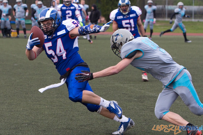 Kozły Poznań - Warsaw Sharks Foto: lepszyPOZNAN.pl / Piotr Rychter Kozły Poznań - Warsaw Sharks Foto: lepszyPOZNAN.pl / Piotr Rychter