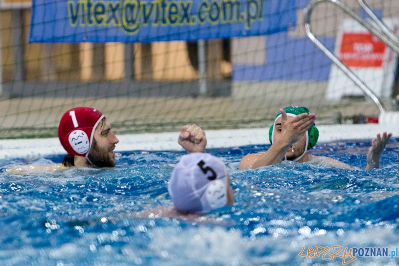 DSW Waterpolo Poznań - Legia Warszawa Foto: lepszyPOZNAN.pl / Piotr Rychter DSW Waterpolo Poznań - Legia Warszawa Foto: lepszyPOZNAN.pl / Piotr Rychter