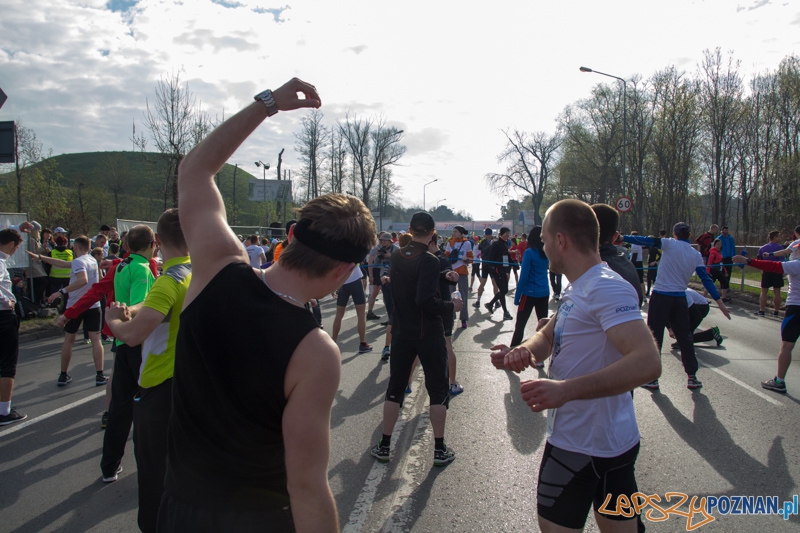 7. Poznań półmaraton - 6.04.2014 r. Foto: lepszyPOZNAN.pl / Piotr Rychter 7. Poznań półmaraton - 6.04.2014 r. Foto: lepszyPOZNAN.pl / Piotr Rychter