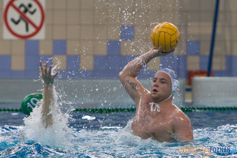 DSW Waterpolo Poznań - Legia Warszawa Foto: lepszyPOZNAN.pl / Piotr Rychter DSW Waterpolo Poznań - Legia Warszawa Foto: lepszyPOZNAN.pl / Piotr Rychter