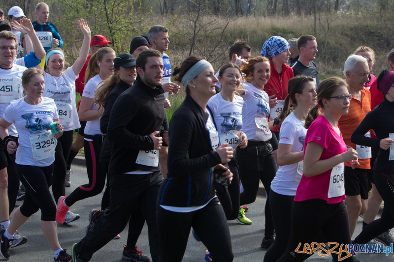 7. Poznań półmaraton - 6.04.2014 r. Foto: lepszyPOZNAN.pl / Piotr Rychter 7. Poznań półmaraton - 6.04.2014 r. Foto: lepszyPOZNAN.pl / Piotr Rychter