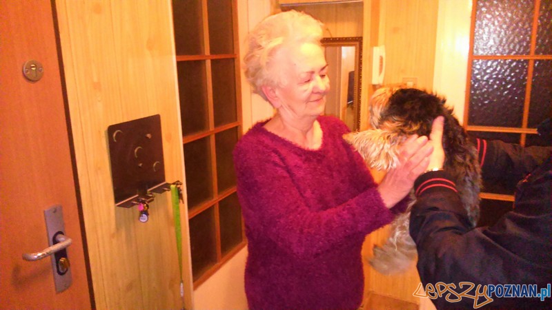 Odzyskany pies Foto: materiały policyjne Odzyskany pies Foto: materiały policyjne