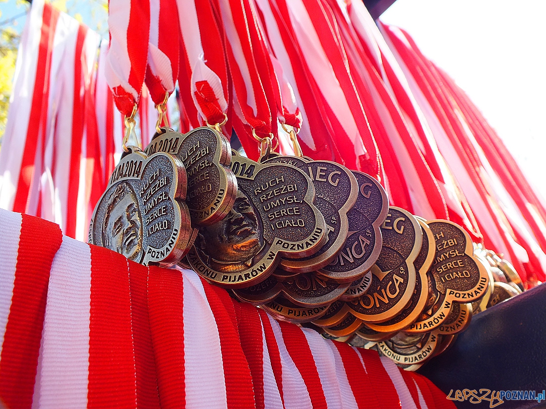 medale Foto: medale Foto: