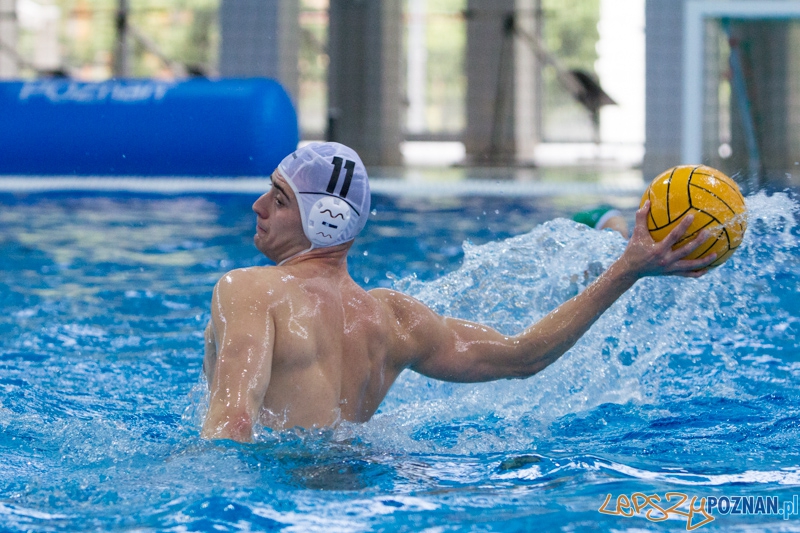 DSW Waterpolo Poznań - Legia Warszawa Foto: lepszyPOZNAN.pl / Piotr Rychter DSW Waterpolo Poznań - Legia Warszawa Foto: lepszyPOZNAN.pl / Piotr Rychter