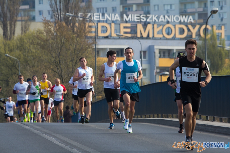 7. Poznań półmaraton - 6.04.2014 r. Foto: lepszyPOZNAN.pl / Piotr Rychter 7. Poznań półmaraton - 6.04.2014 r. Foto: lepszyPOZNAN.pl / Piotr Rychter