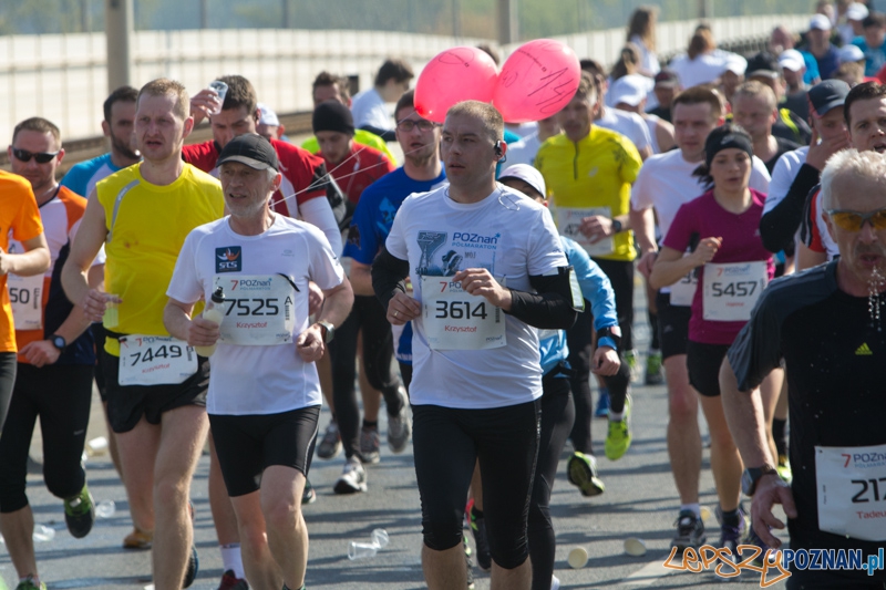 7. Poznań półmaraton - 6.04.2014 r. Foto: lepszyPOZNAN.pl / Piotr Rychter 7. Poznań półmaraton - 6.04.2014 r. Foto: lepszyPOZNAN.pl / Piotr Rychter