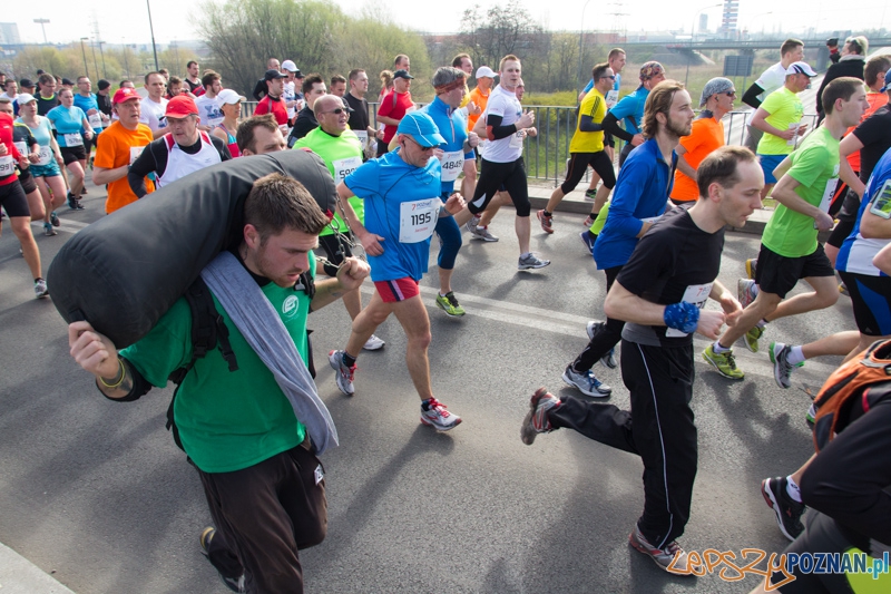 7. Poznań półmaraton - 6.04.2014 r. Foto: lepszyPOZNAN.pl / Piotr Rychter 7. Poznań półmaraton - 6.04.2014 r. Foto: lepszyPOZNAN.pl / Piotr Rychter