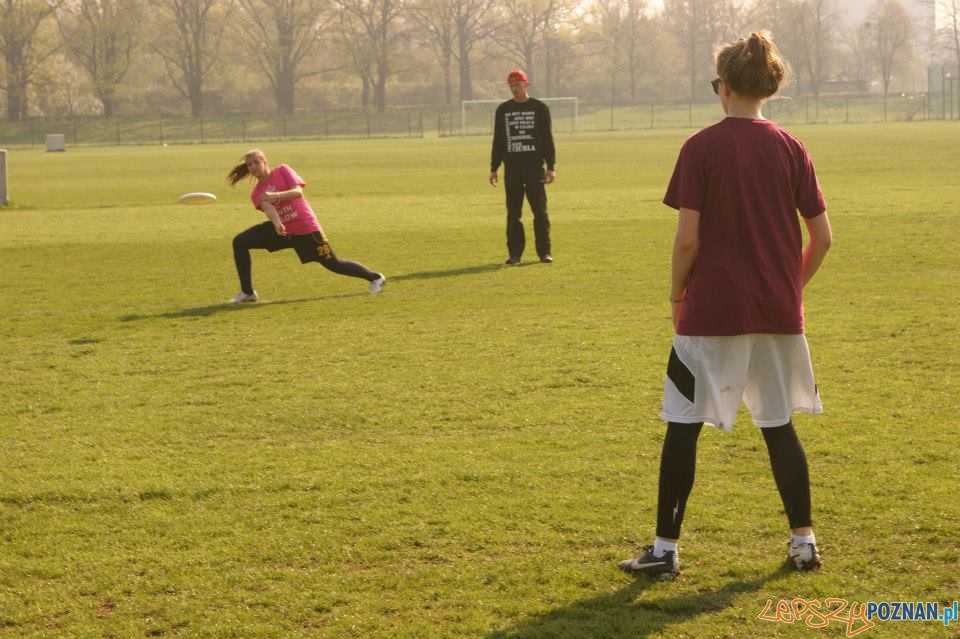 Ulitimate frisbee (4) Foto: Ulitimate frisbee (4) Foto: