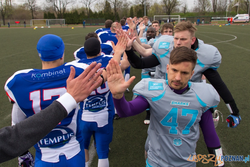 Kozły Poznań - Warsaw Sharks Foto: lepszyPOZNAN.pl / Piotr Rychter Kozły Poznań - Warsaw Sharks Foto: lepszyPOZNAN.pl / Piotr Rychter