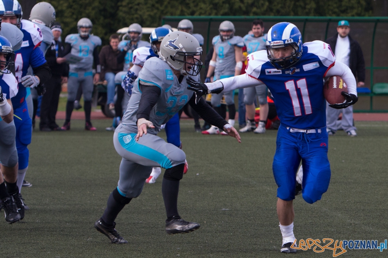 Kozły Poznań - Warsaw Sharks Foto: lepszyPOZNAN.pl / Piotr Rychter Kozły Poznań - Warsaw Sharks Foto: lepszyPOZNAN.pl / Piotr Rychter