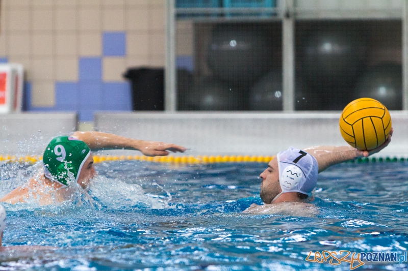 DSW Waterpolo Poznań - Legia Warszawa Foto: lepszyPOZNAN.pl / Piotr Rychter DSW Waterpolo Poznań - Legia Warszawa Foto: lepszyPOZNAN.pl / Piotr Rychter