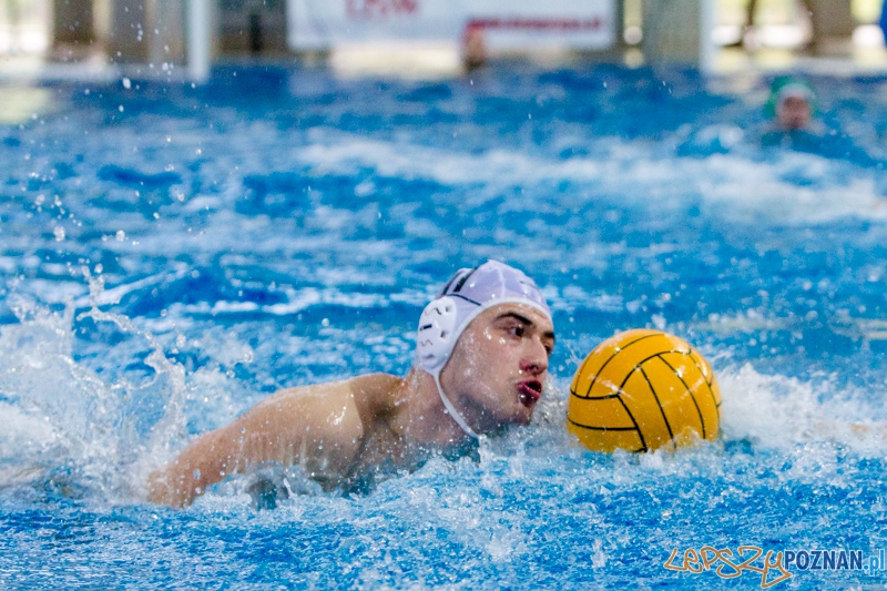DSW Waterpolo Poznań - Legia Warszawa Foto: lepszyPOZNAN.pl / Piotr Rychter DSW Waterpolo Poznań - Legia Warszawa Foto: lepszyPOZNAN.pl / Piotr Rychter
