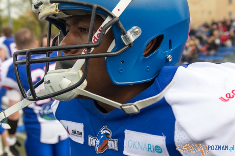 Kozły Poznań - Warsaw Sharks Foto: lepszyPOZNAN.pl / Piotr Rychter Kozły Poznań - Warsaw Sharks Foto: lepszyPOZNAN.pl / Piotr Rychter