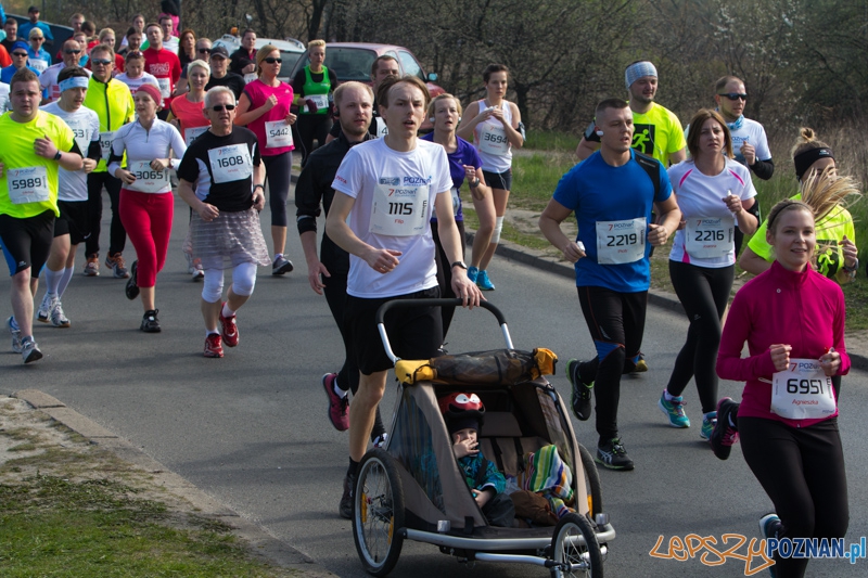 7. Poznań półmaraton - 6.04.2014 r. Foto: lepszyPOZNAN.pl / Piotr Rychter 7. Poznań półmaraton - 6.04.2014 r. Foto: lepszyPOZNAN.pl / Piotr Rychter