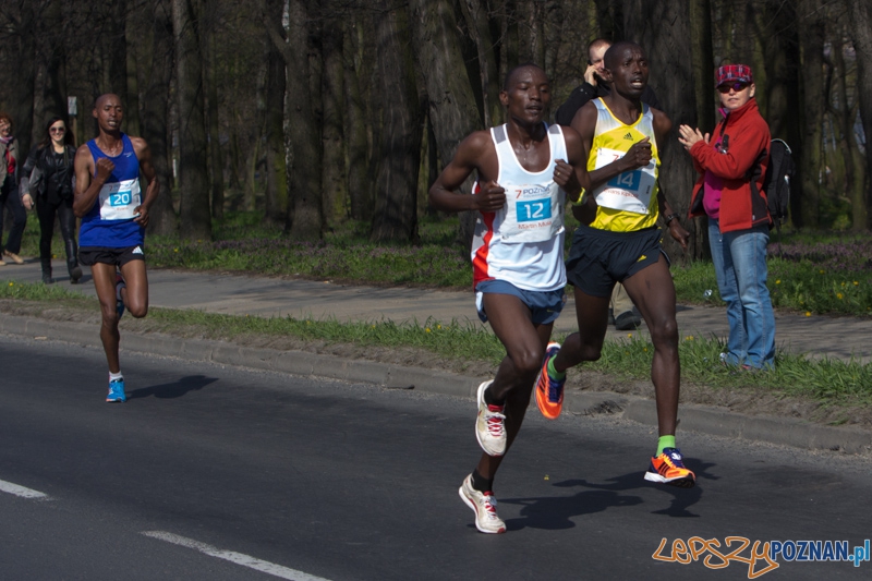 7. Poznań półmaraton - 6.04.2014 r. Foto: lepszyPOZNAN.pl / Piotr Rychter 7. Poznań półmaraton - 6.04.2014 r. Foto: lepszyPOZNAN.pl / Piotr Rychter