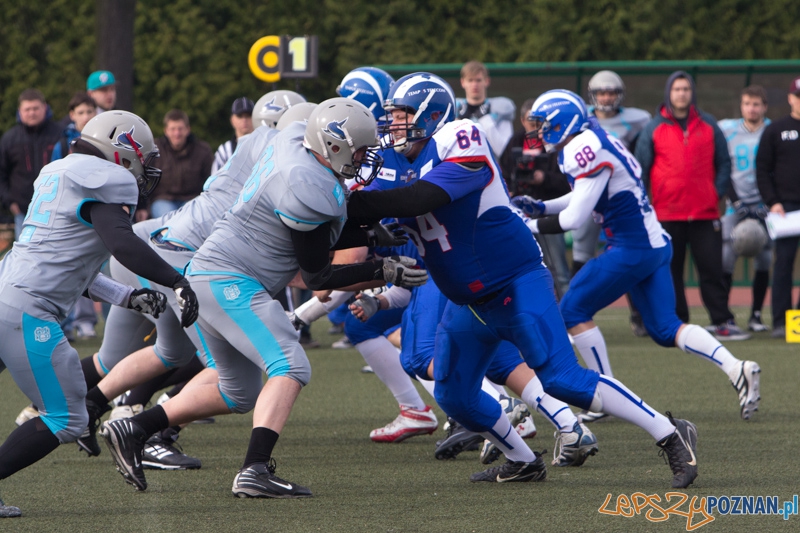 Kozły Poznań - Warsaw Sharks Foto: lepszyPOZNAN.pl / Piotr Rychter Kozły Poznań - Warsaw Sharks Foto: lepszyPOZNAN.pl / Piotr Rychter