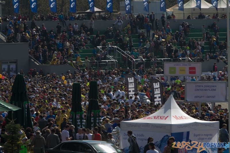 7. Poznań półmaraton - 6.04.2014 r. Foto: lepszyPOZNAN.pl / Piotr Rychter 7. Poznań półmaraton - 6.04.2014 r. Foto: lepszyPOZNAN.pl / Piotr Rychter