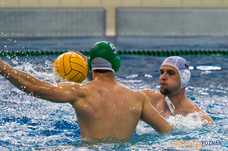 DSW Waterpolo Poznań - Legia Warszawa Foto: lepszyPOZNAN.pl / Piotr Rychter DSW Waterpolo Poznań - Legia Warszawa Foto: lepszyPOZNAN.pl / Piotr Rychter