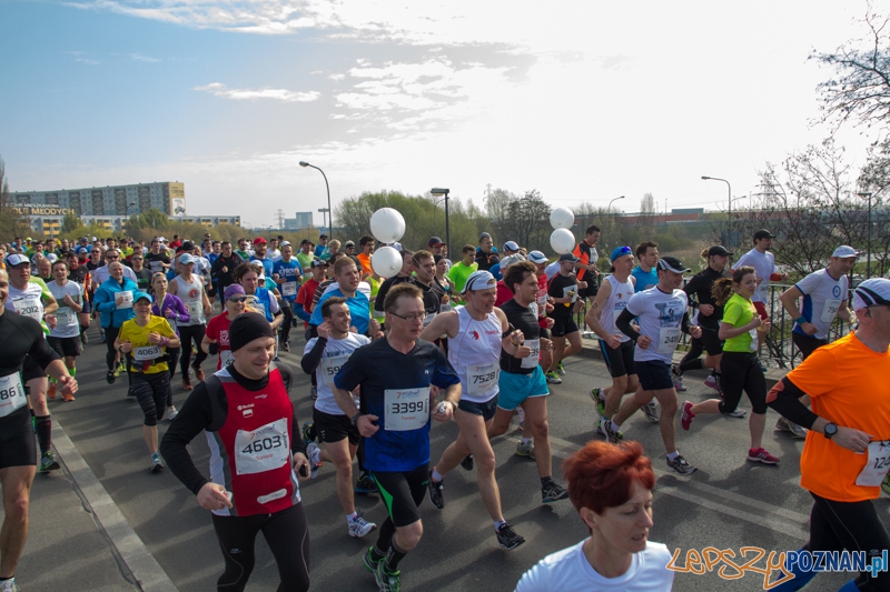 7. Poznań półmaraton - 6.04.2014 r. Foto: lepszyPOZNAN.pl / Piotr Rychter 7. Poznań półmaraton - 6.04.2014 r. Foto: lepszyPOZNAN.pl / Piotr Rychter