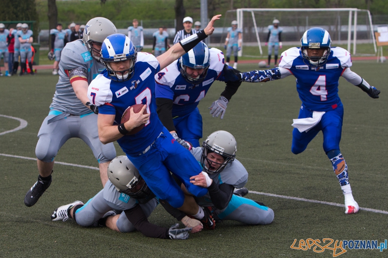 Kozły Poznań - Warsaw Sharks Foto: lepszyPOZNAN.pl / Piotr Rychter Kozły Poznań - Warsaw Sharks Foto: lepszyPOZNAN.pl / Piotr Rychter
