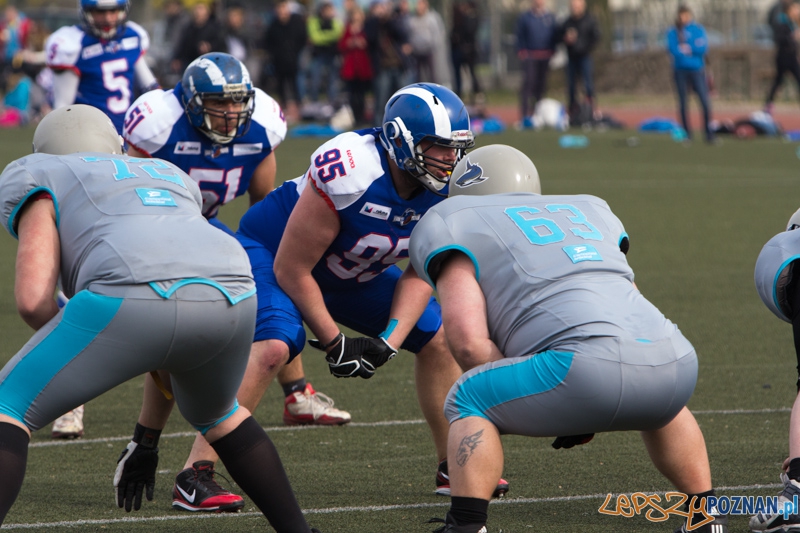 Kozły Poznań - Warsaw Sharks Foto: lepszyPOZNAN.pl / Piotr Rychter Kozły Poznań - Warsaw Sharks Foto: lepszyPOZNAN.pl / Piotr Rychter
