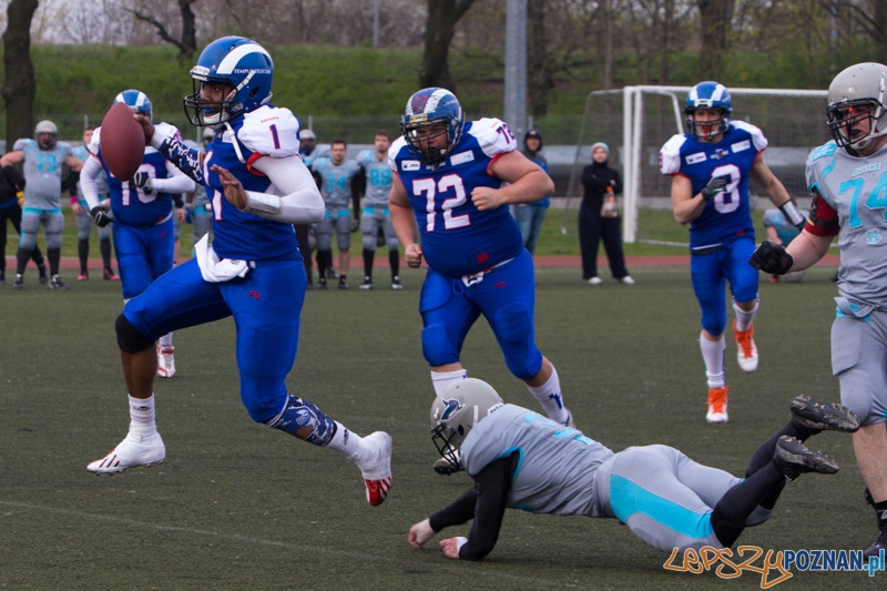 Kozły Poznań - Warsaw Sharks Foto: lepszyPOZNAN.pl / Piotr Rychter Kozły Poznań - Warsaw Sharks Foto: lepszyPOZNAN.pl / Piotr Rychter
