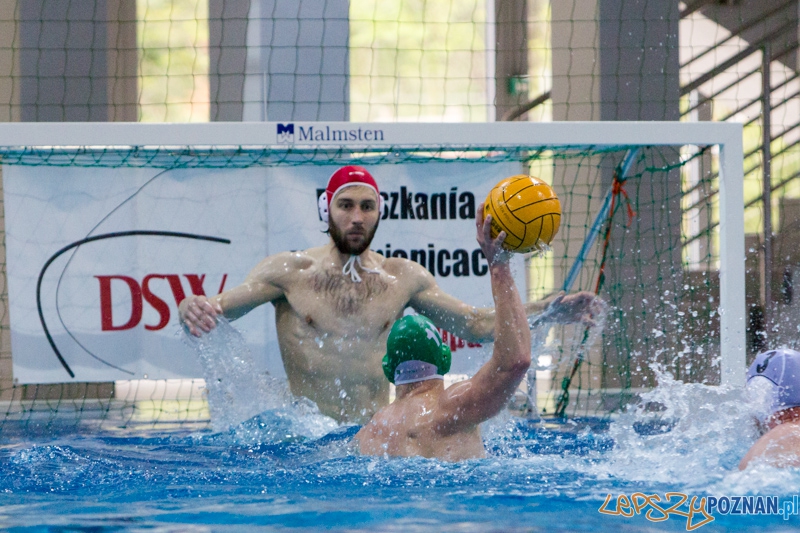 DSW Waterpolo Poznań - Legia Warszawa Foto: lepszyPOZNAN.pl / Piotr Rychter DSW Waterpolo Poznań - Legia Warszawa Foto: lepszyPOZNAN.pl / Piotr Rychter