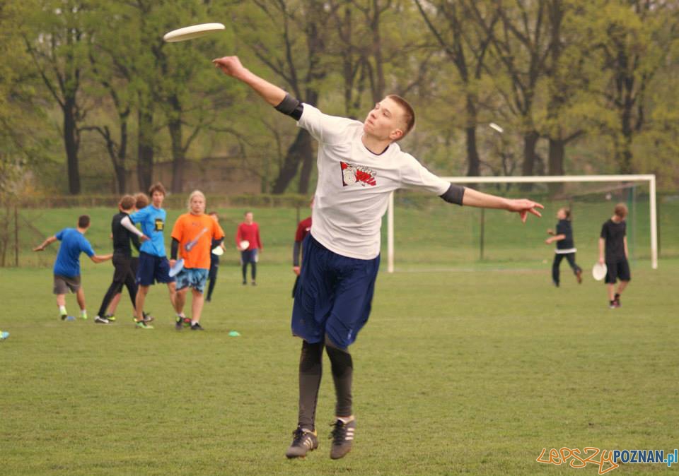 Ulitimate frisbee (8)  Foto: 
