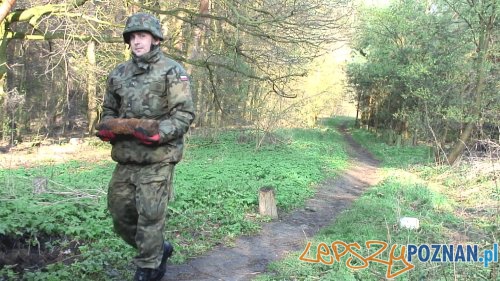 Niewybuchy w lesie (5) Foto: Straż Miejska Niewybuchy w lesie (5) Foto: Straż Miejska