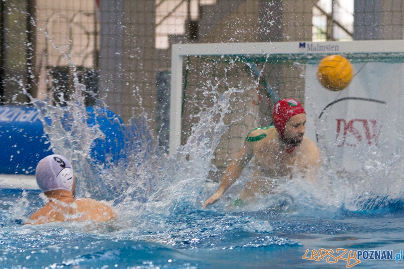 DSW Waterpolo Poznań - Legia Warszawa Foto: lepszyPOZNAN.pl / Piotr Rychter DSW Waterpolo Poznań - Legia Warszawa Foto: lepszyPOZNAN.pl / Piotr Rychter