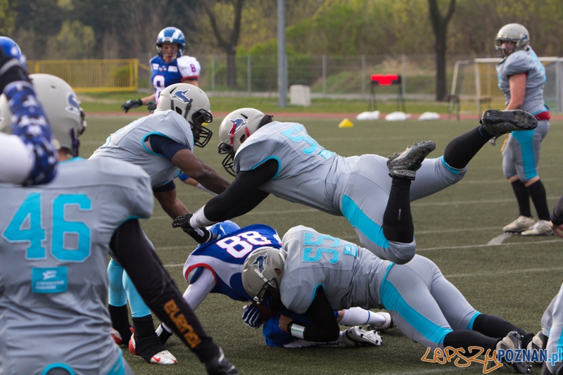 Kozły Poznań - Warsaw Sharks Foto: lepszyPOZNAN.pl / Piotr Rychter Kozły Poznań - Warsaw Sharks Foto: lepszyPOZNAN.pl / Piotr Rychter