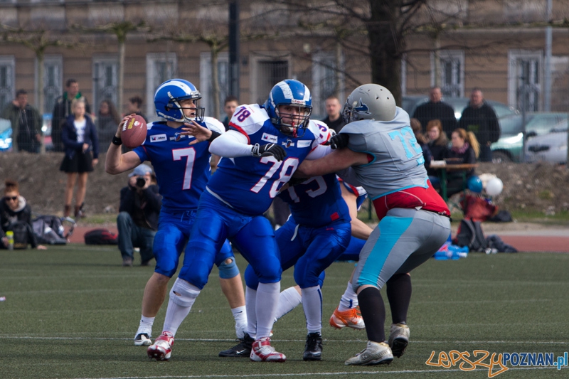 Kozły Poznań - Warsaw Sharks Foto: lepszyPOZNAN.pl / Piotr Rychter Kozły Poznań - Warsaw Sharks Foto: lepszyPOZNAN.pl / Piotr Rychter
