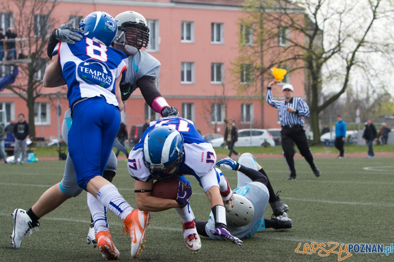 Kozły Poznań - Warsaw Sharks Foto: lepszyPOZNAN.pl / Piotr Rychter Kozły Poznań - Warsaw Sharks Foto: lepszyPOZNAN.pl / Piotr Rychter