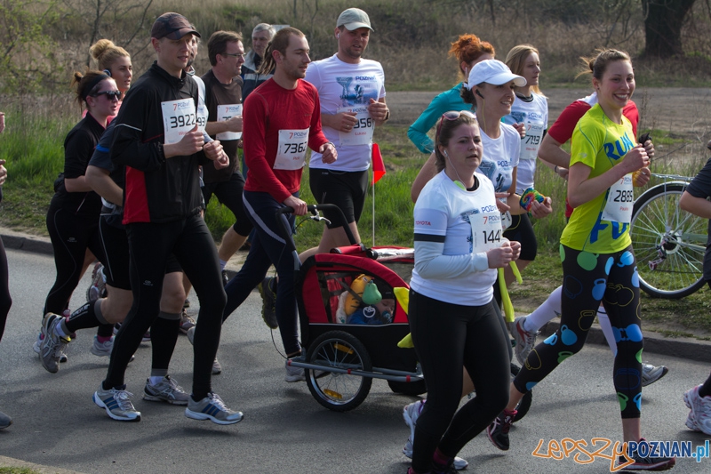 7. Poznań półmaraton - 6.04.2014 r. Foto: lepszyPOZNAN.pl / Piotr Rychter 7. Poznań półmaraton - 6.04.2014 r. Foto: lepszyPOZNAN.pl / Piotr Rychter