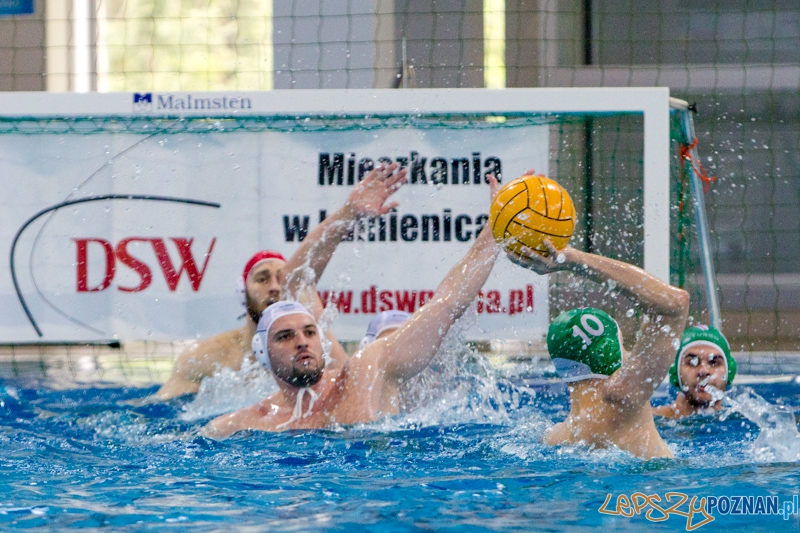 DSW Waterpolo Poznań - Legia Warszawa Foto: lepszyPOZNAN.pl / Piotr Rychter DSW Waterpolo Poznań - Legia Warszawa Foto: lepszyPOZNAN.pl / Piotr Rychter