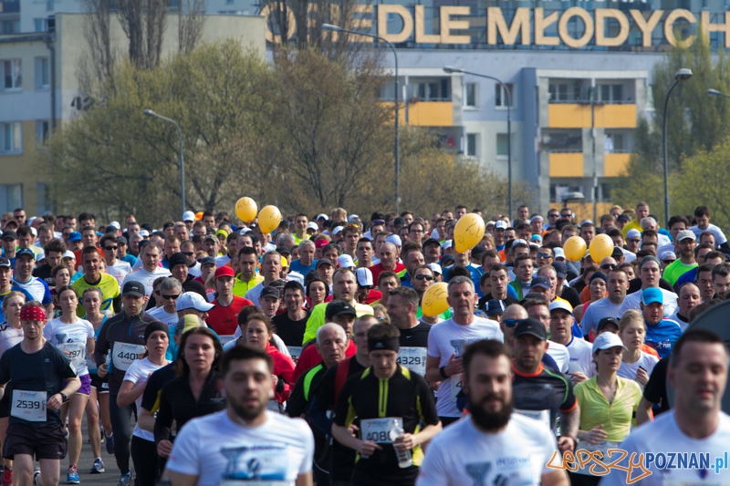 7. Poznań półmaraton - 6.04.2014 r. Foto: lepszyPOZNAN.pl / Piotr Rychter 7. Poznań półmaraton - 6.04.2014 r. Foto: lepszyPOZNAN.pl / Piotr Rychter