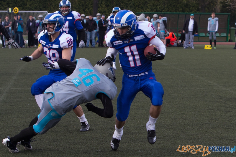 Kozły Poznań - Warsaw Sharks Foto: lepszyPOZNAN.pl / Piotr Rychter Kozły Poznań - Warsaw Sharks Foto: lepszyPOZNAN.pl / Piotr Rychter