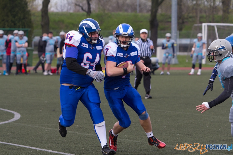 Kozły Poznań - Warsaw Sharks Foto: lepszyPOZNAN.pl / Piotr Rychter Kozły Poznań - Warsaw Sharks Foto: lepszyPOZNAN.pl / Piotr Rychter