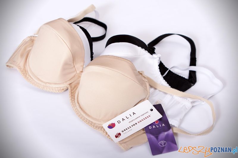 Dalia dress fof success  Foto: materiały prasowe