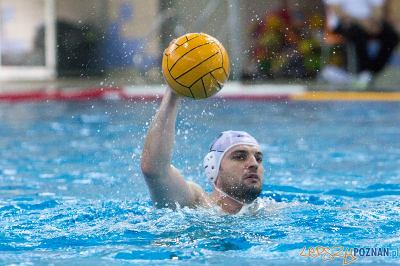 DSW Waterpolo Poznań - Legia Warszawa Foto: lepszyPOZNAN.pl / Piotr Rychter DSW Waterpolo Poznań - Legia Warszawa Foto: lepszyPOZNAN.pl / Piotr Rychter