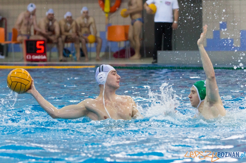 DSW Waterpolo Poznań - Legia Warszawa Foto: lepszyPOZNAN.pl / Piotr Rychter DSW Waterpolo Poznań - Legia Warszawa Foto: lepszyPOZNAN.pl / Piotr Rychter